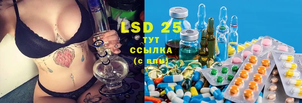 гашик Кирсанов