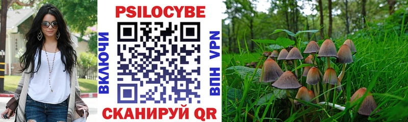 shop какой сайт  Кашин  Галлюциногенные грибы MAGIC MUSHROOMS 